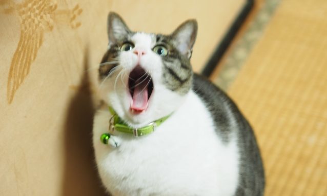 思い通りにいかない時は